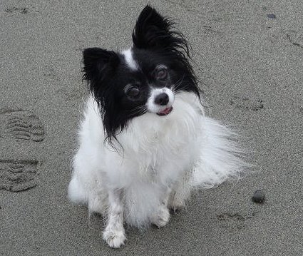 Lucy's Last Outing