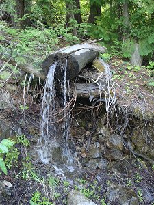Waterlogged