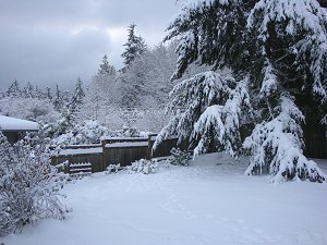 122208