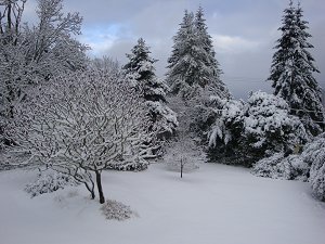 122208