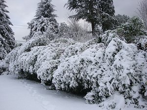 122208