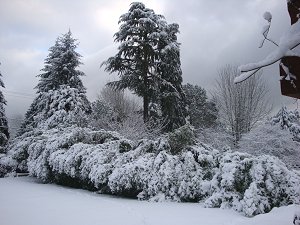 122208