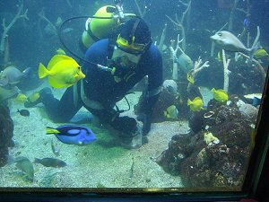 Seattle Aquarium