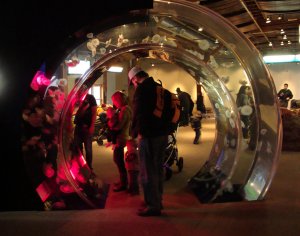 Seattle Aquarium