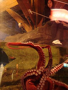 Seattle Aquarium