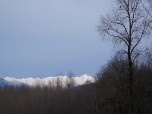Skagit Eagles