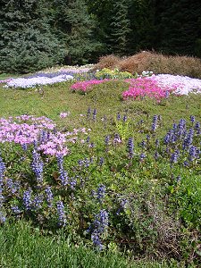 Ohme Gardens