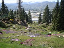 Ohme Gardens