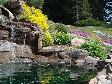 Ohme Gardens