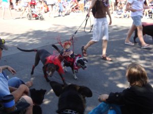 Bend's Pet Parade