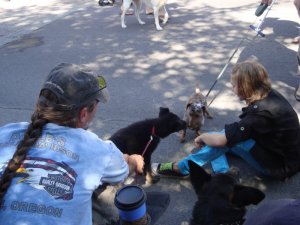 Bend's Pet Parade