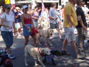 Bend's Pet Parade