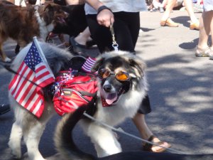 Bend's Pet Parade