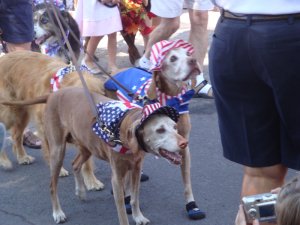 Bend's Pet Parade