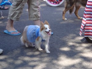 Bend's Pet Parade