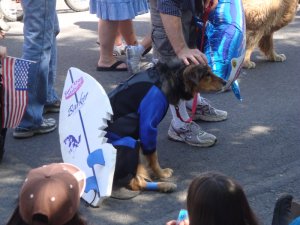 Bend's Pet Parade