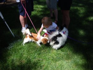 Bend's Pet Parade