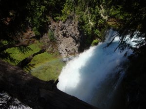Sahalie/Koosah Falls