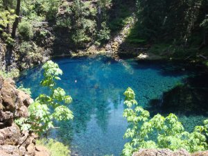 McKenzie River Pool