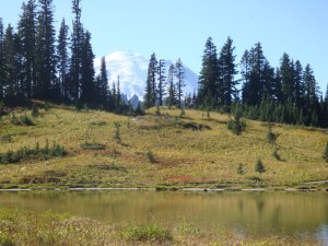 Tipsoo Lake Mt Rainier, WA