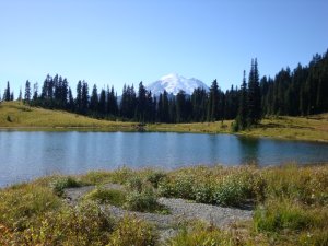 Tipsoo Lake Mt Rainier, WA