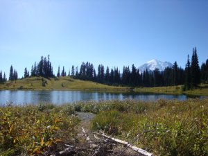 Tipsoo Lake Mt Rainier, WA