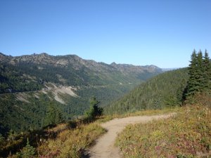 Pacific Crest Trail Mt Rainier, WA