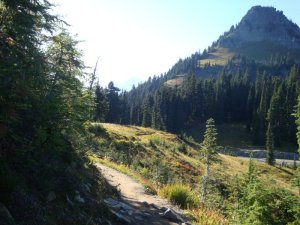 Pacific Crest Trail Mt Rainier, WA