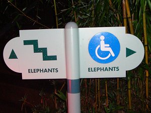 Zoolights