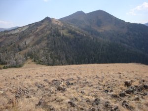 Wallowa